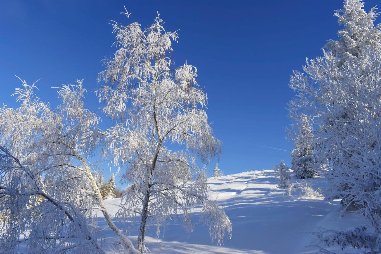 Agroturystyka Chmiel สโรโมฟเซ วิชเน ภายนอก รูปภาพ